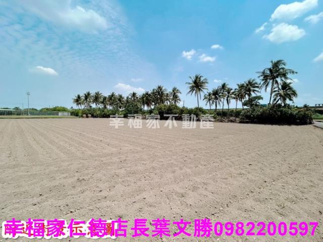 仁德農地-1