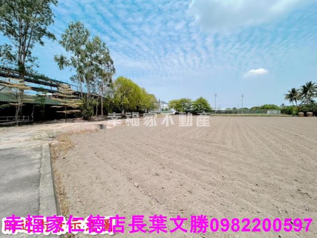 仁德農地-5