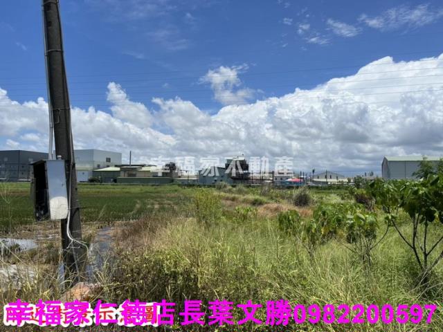 仁德農地-10