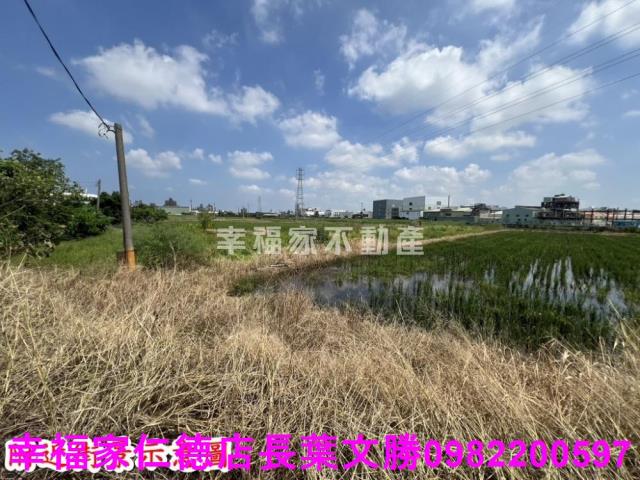 仁德農地-12
