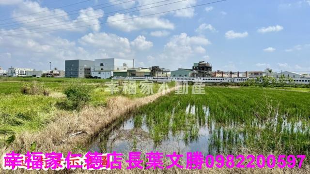 仁德農地-1