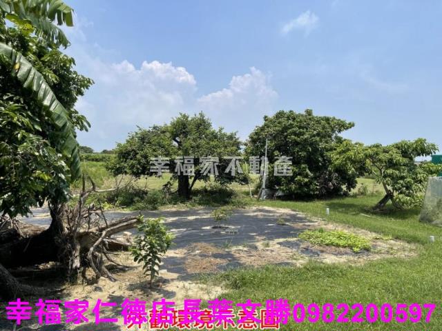 仁德農地-13
