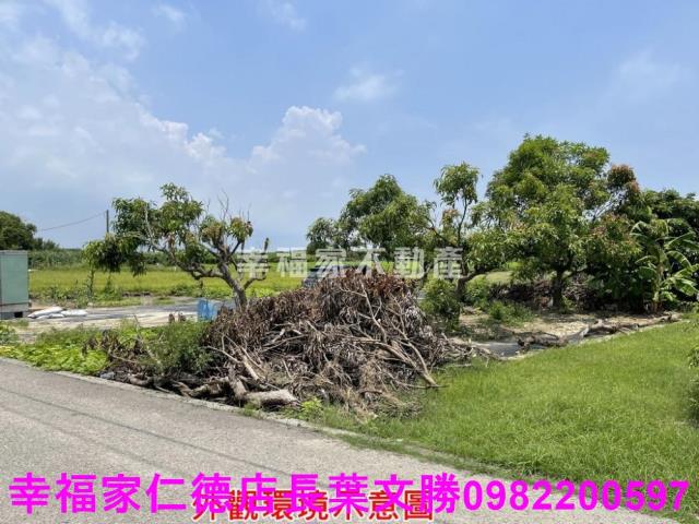 仁德農地-1