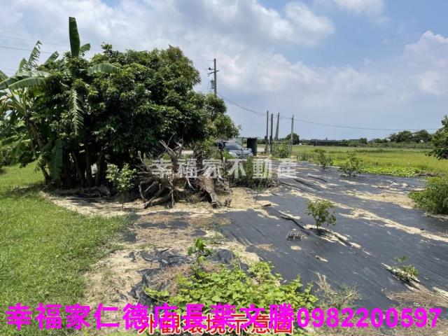 仁德農地-2