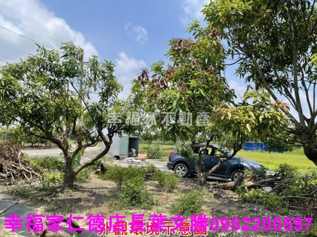 仁德農地-7