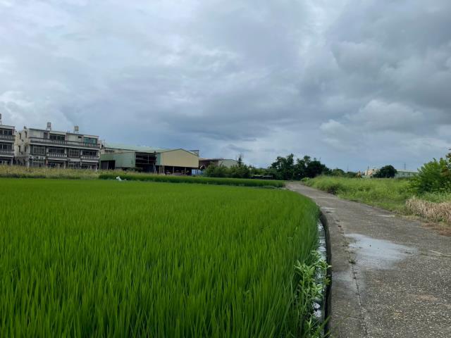清水農地-11