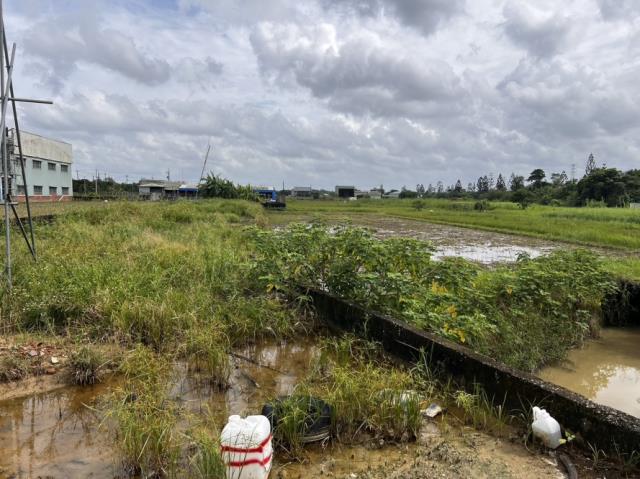新化農地-1