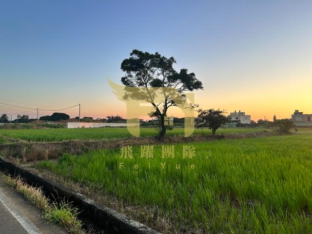 大園農地-2