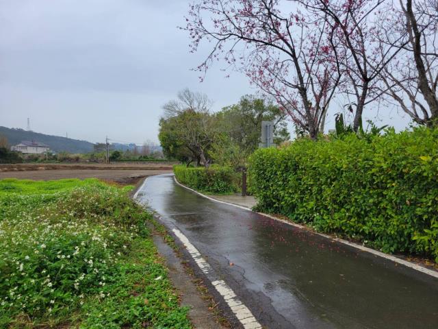 龍潭農地-3