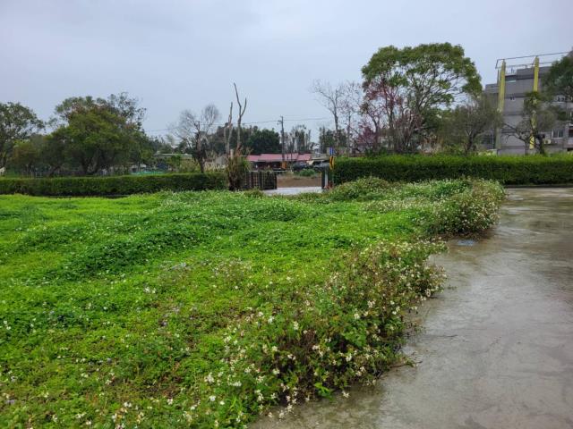 龍潭農地-4