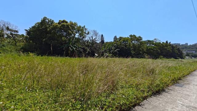 龍潭農地-7