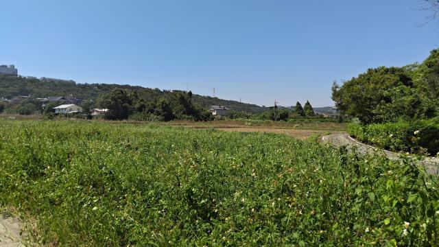 龍潭農地-8