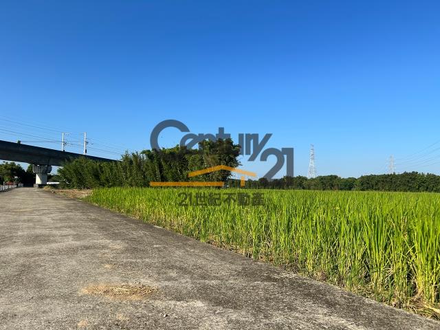 楊梅農地-1