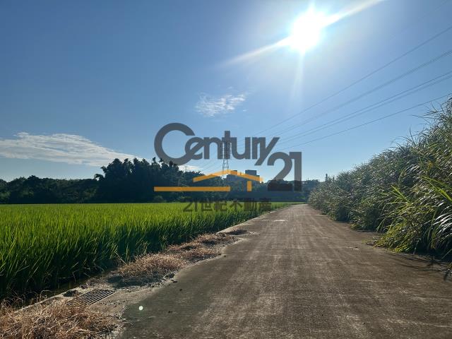楊梅農地-0