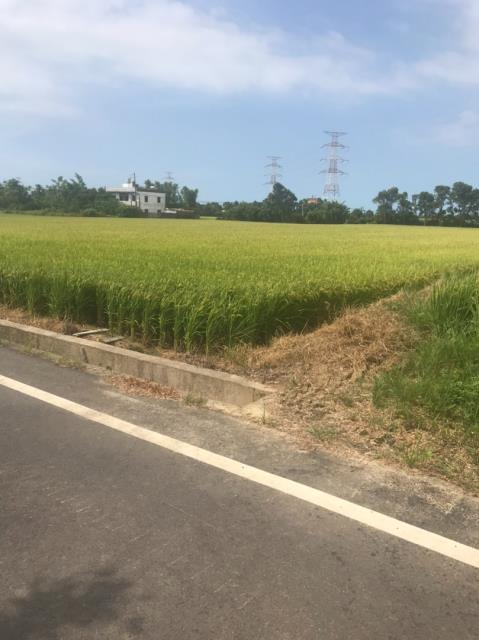 桃園農地-7