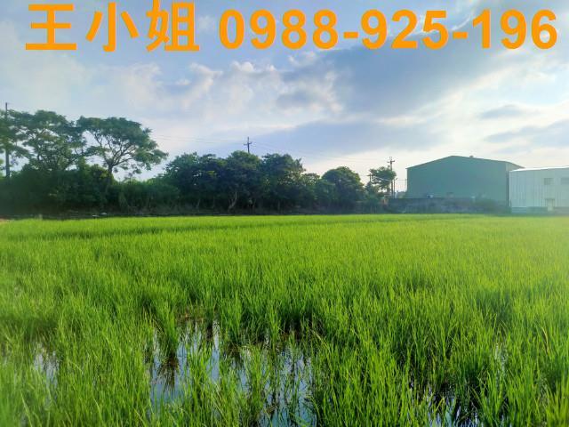 桃園農地-0