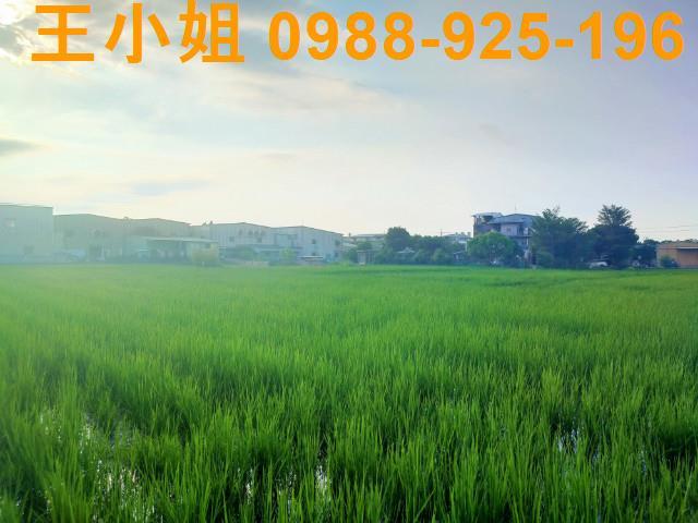 桃園農地-4