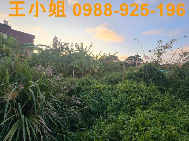 桃園農地-9