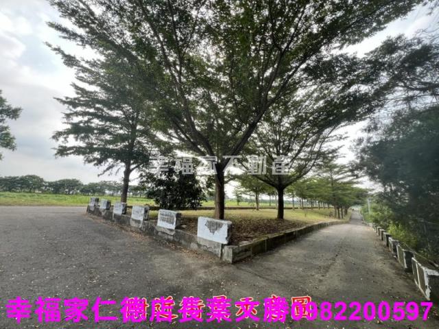 台南新化農地-10