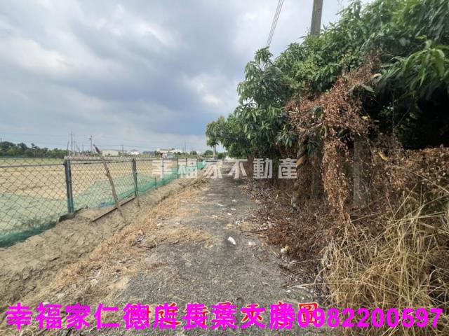 台南新化農地-12