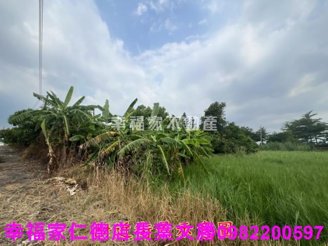 台南新化農地-13