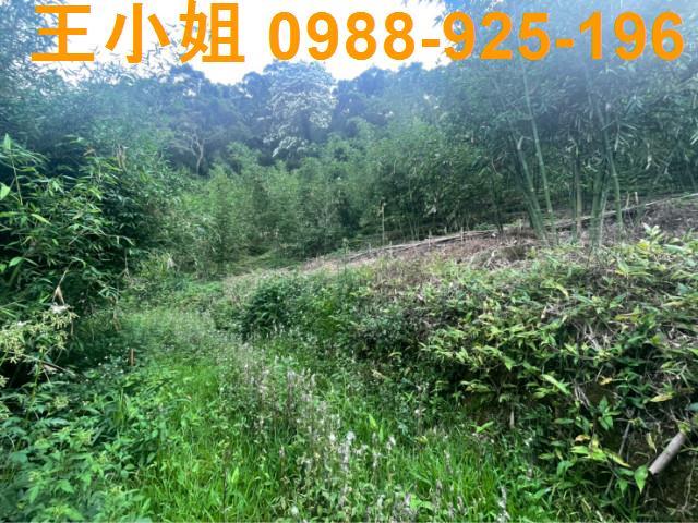 桃園大溪農地-3