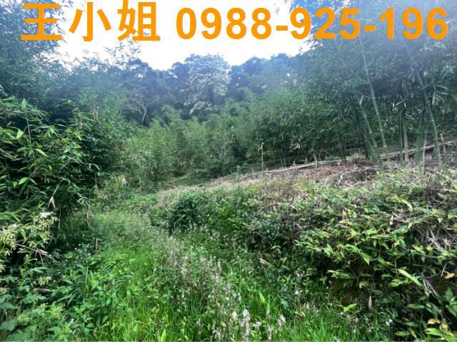 桃園大溪農地-5