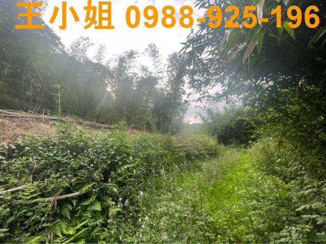 桃園大溪農地-6