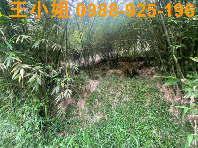 桃園大溪農地-7