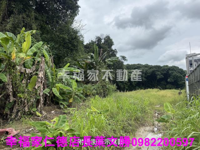 台南關廟農地-10