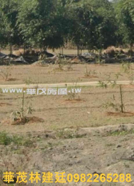嘉義大林農地法拍-1