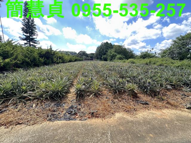 南投草屯農地-3
