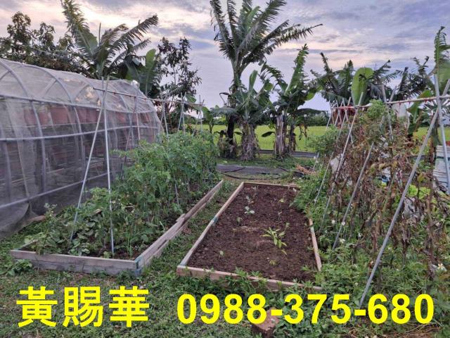 桃園新屋農地-7