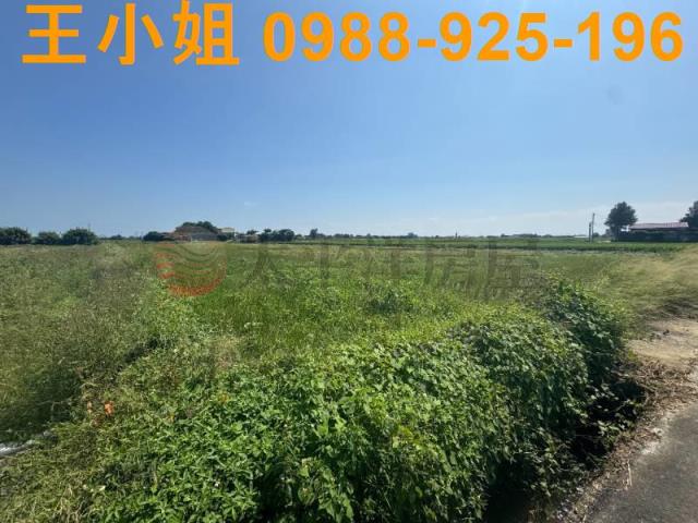 桃園觀音農地-9