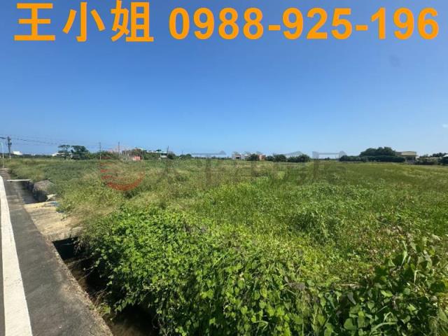 桃園觀音農地-11