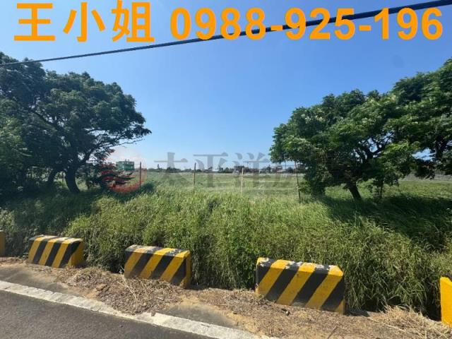 桃園觀音農地-12