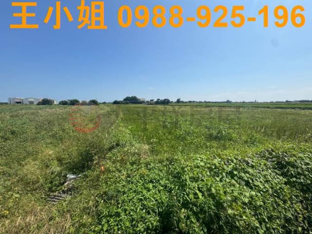 桃園觀音農地-14