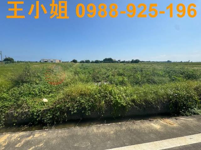 桃園觀音農地-7