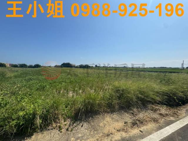 桃園觀音農地-8