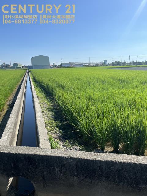 竹塘田地