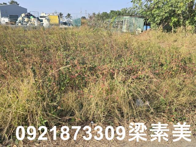 善化農地-1