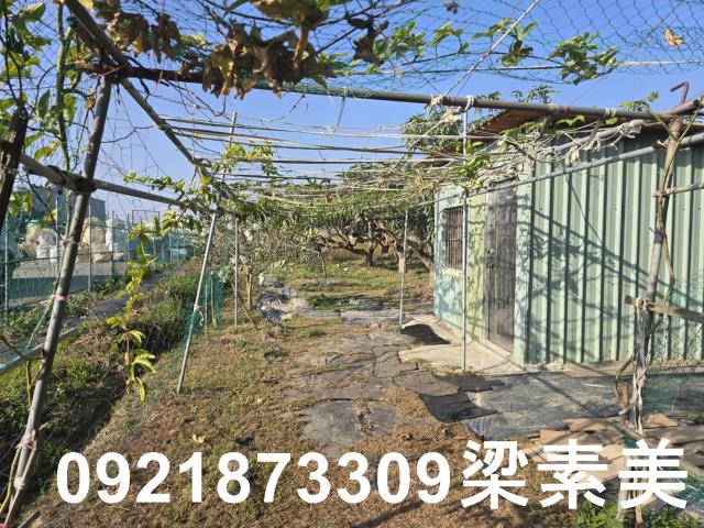 善化農地-4