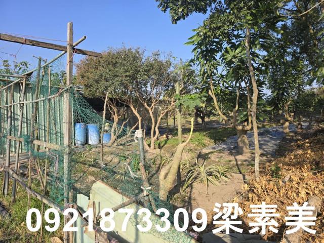 善化農地-5