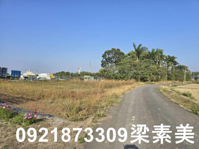 善化農地-6