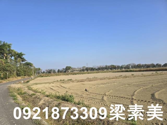 善化農地-7