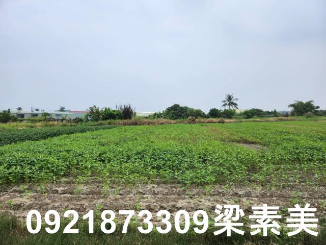 安定農地-1