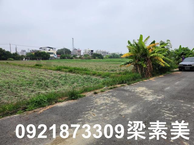 安定農地-2