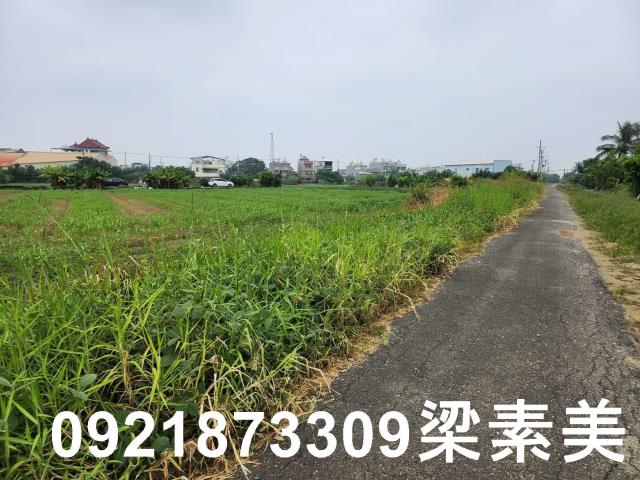 安定農地-4