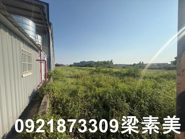 安定農地-1