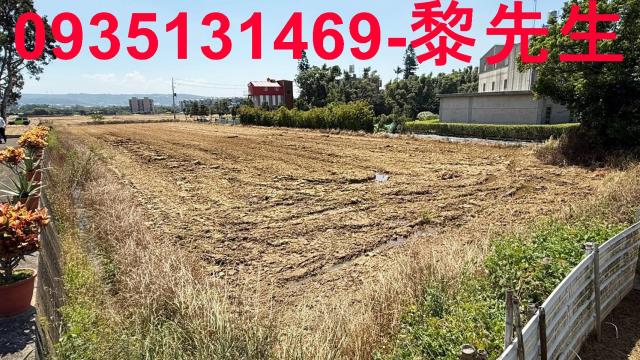 楊梅農地-12
